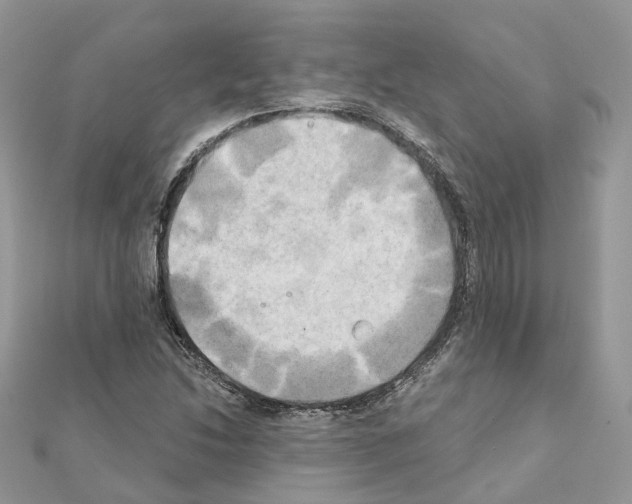 X0000111241214200908131136