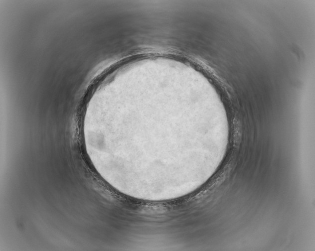 X0000111241215200908131136