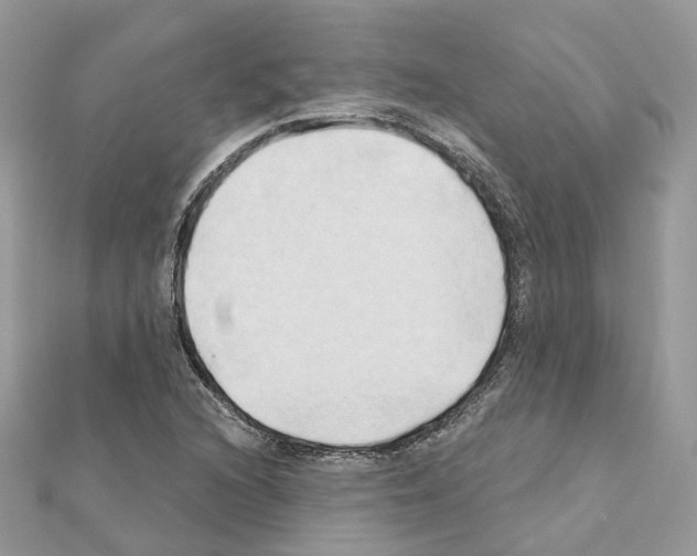 X0000111241216200908131136
