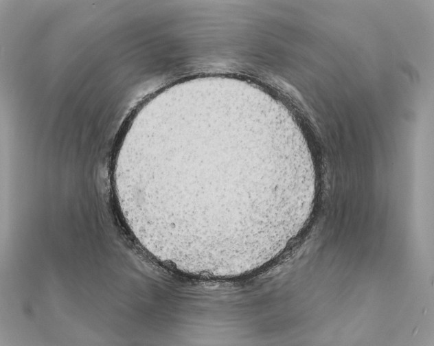 X0000111241218200908131136