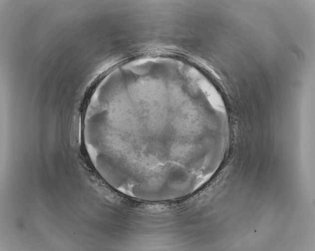 X0000111241219200908131136