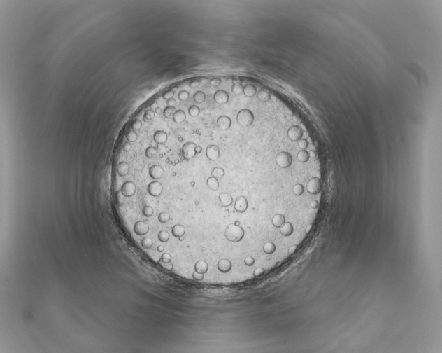 X0000111241220200908131136
