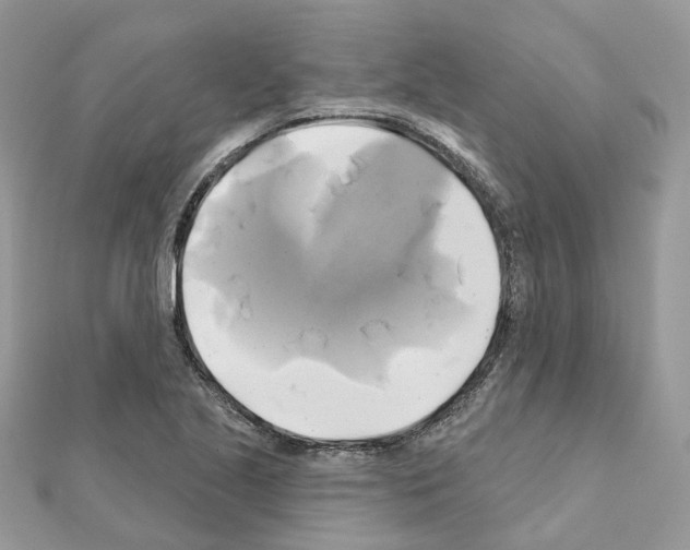 X0000111241221200908131136