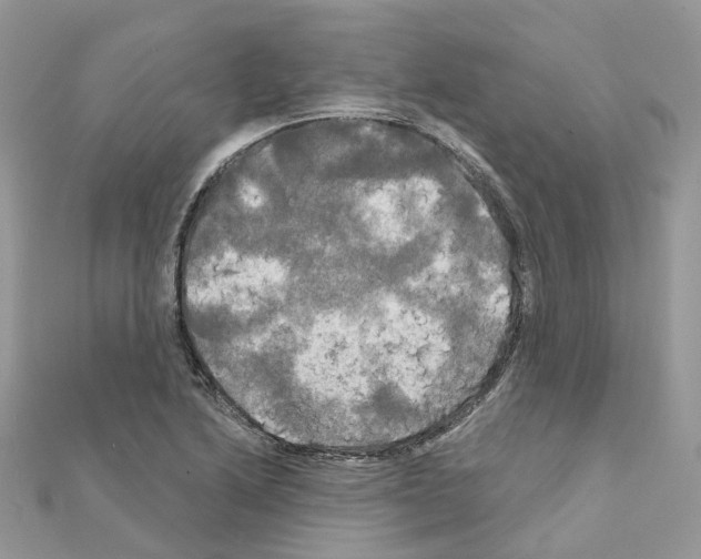 X0000111241222200908131136