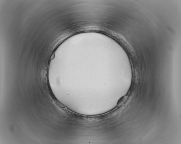 X0000111241225200908131137