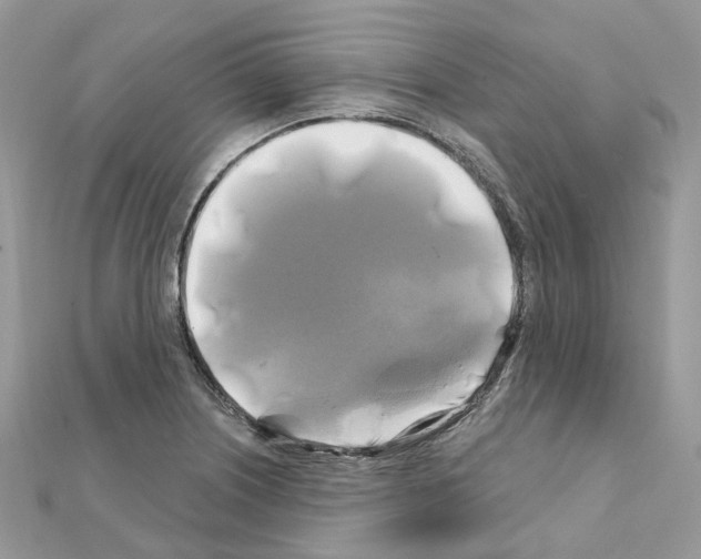 X0000111241226200908131137