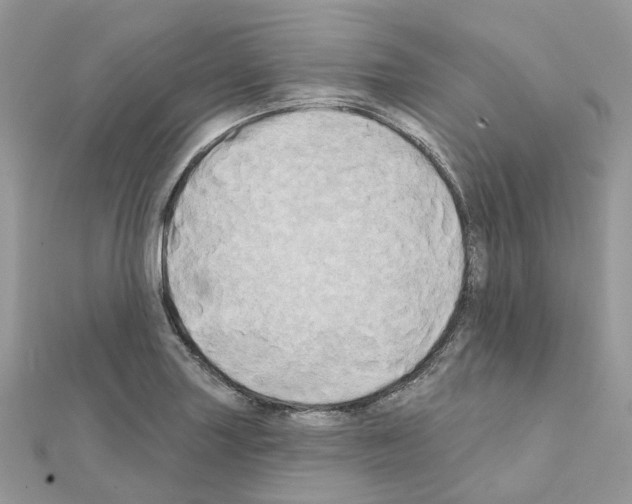 X0000111241227200908131137