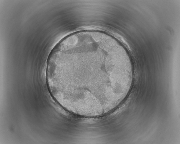 X0000111241228200908131137
