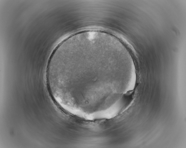 X0000111241229200908131137
