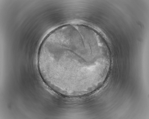 X0000111241232200908131137