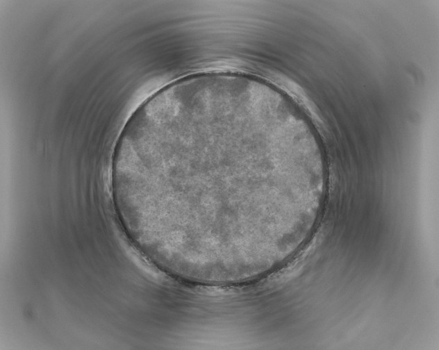 X0000111241234200908131137