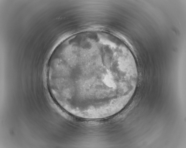 X0000111241235200908131137