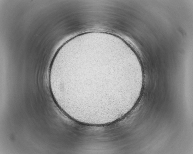 X0000111241238200908131137