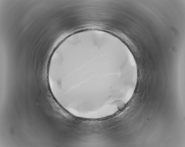 X0000111241240200908131137