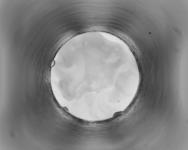 X0000111241241200908131137