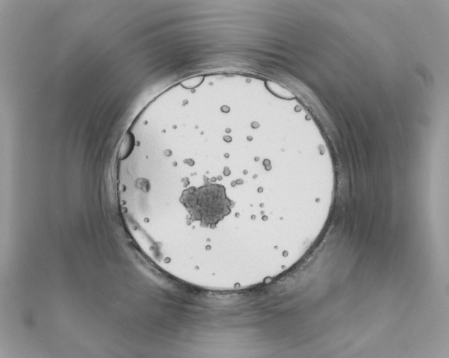 X0000111241242200908131137