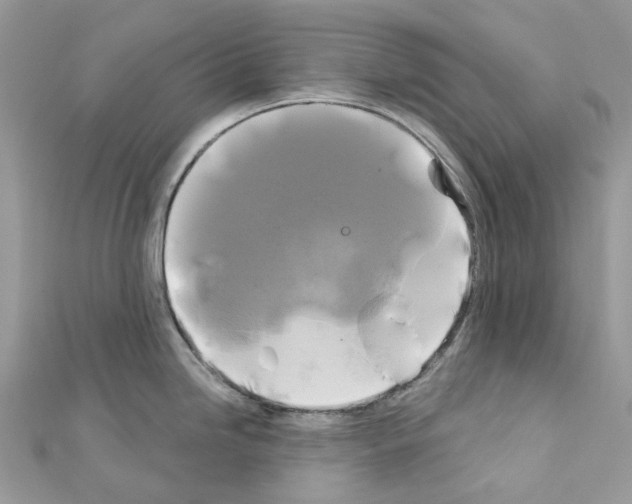 X0000111241246200908131137