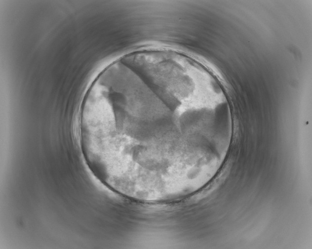 X0000111241247200908131137