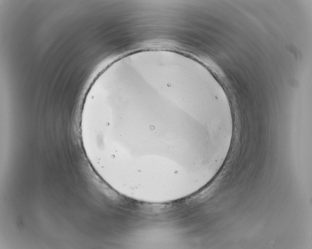 X0000111241248200908131137