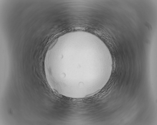 X0000111241249200908131136