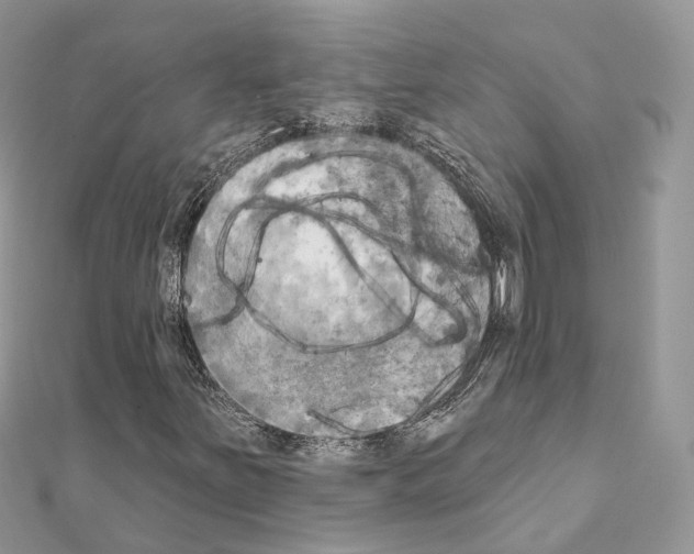 X0000111241251200908131136