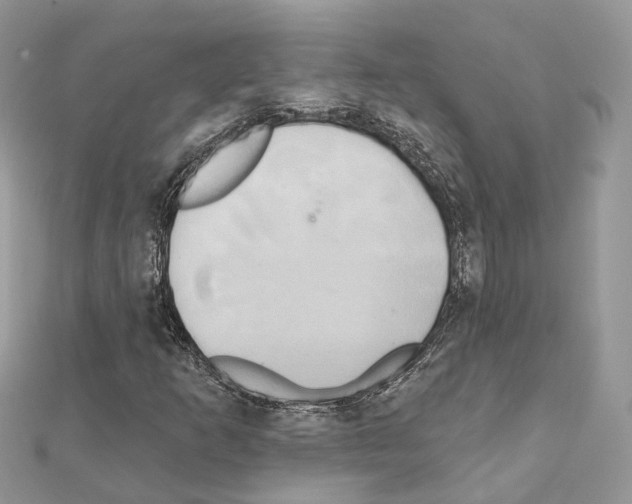 X0000111241253200908131136