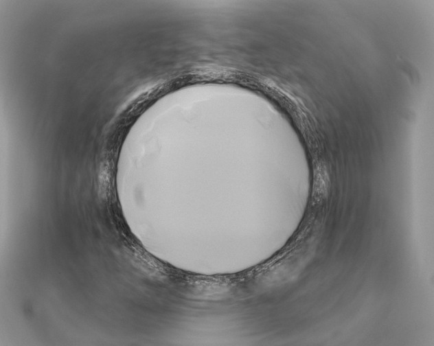 X0000111241254200908131136
