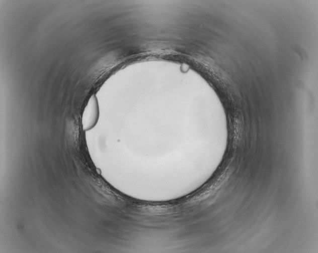 X0000111241257200908131136