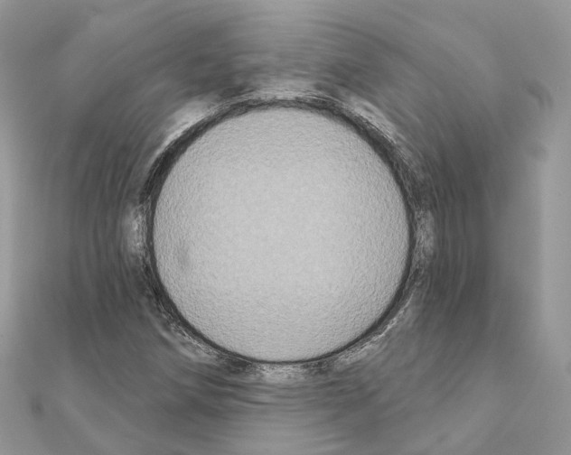 X0000111241258200908131136