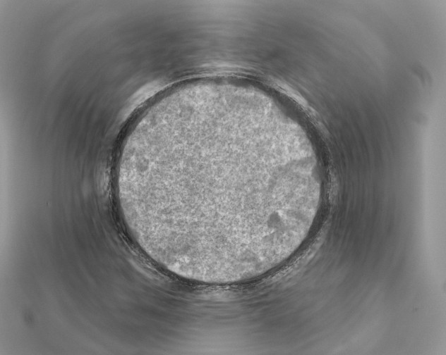 X0000111241259200908131136