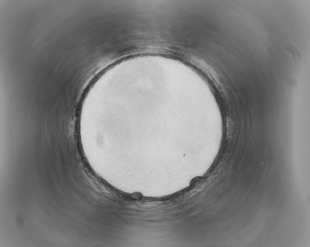 X0000111241260200908131136