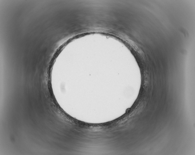 X0000111241264200908131136