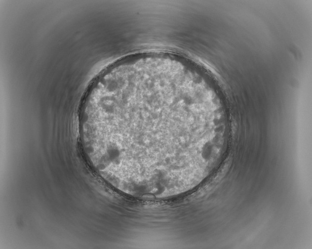 X0000111241267200908131136