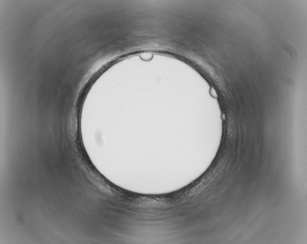 X0000111241270200908131136