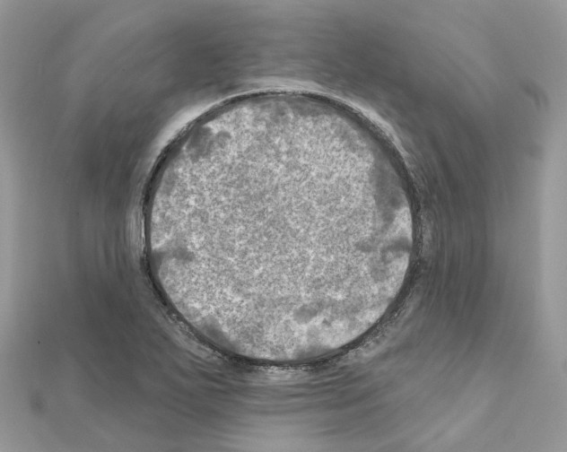 X0000111241271200908131136