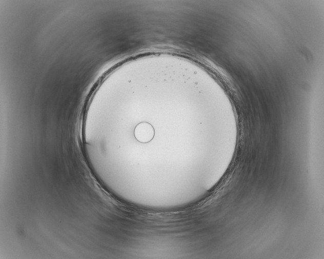 X0000111241272200908131136