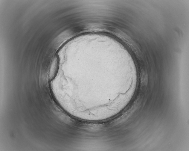 X0000111241273200908131136