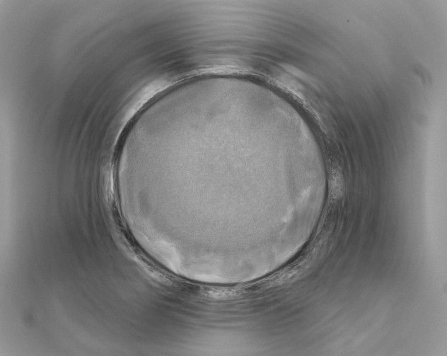 X0000111241274200908131136