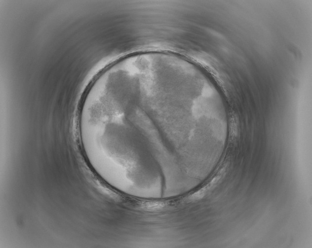 X0000111241278200908131136