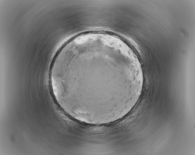 X0000111241279200908131136