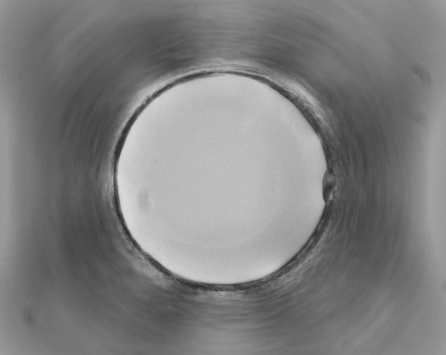 X0000111241280200908131136