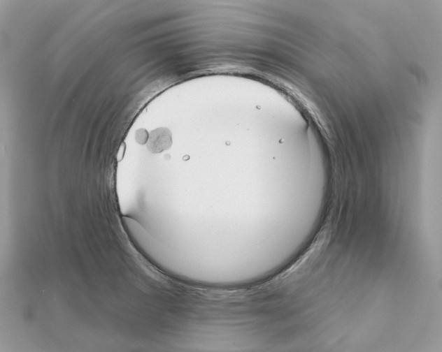 X0000111241281200908131136