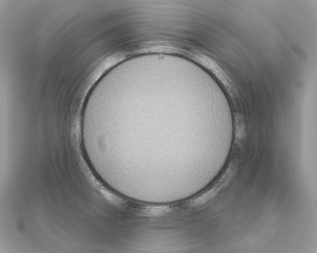 X0000111241282200908131136