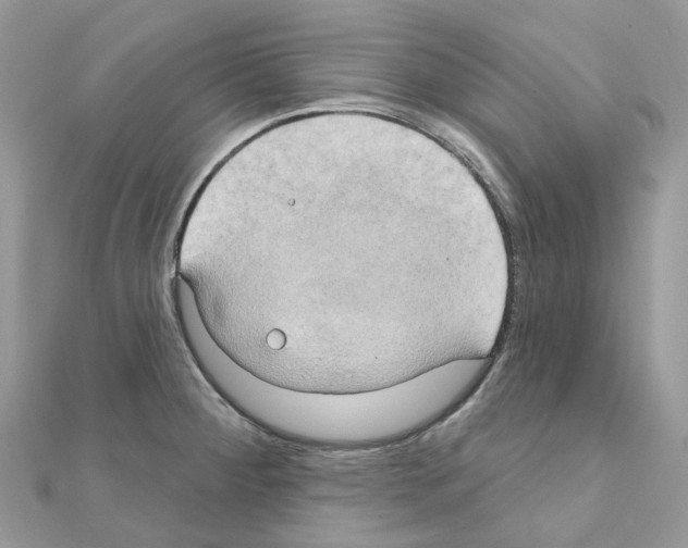 X0000111241284200908131136