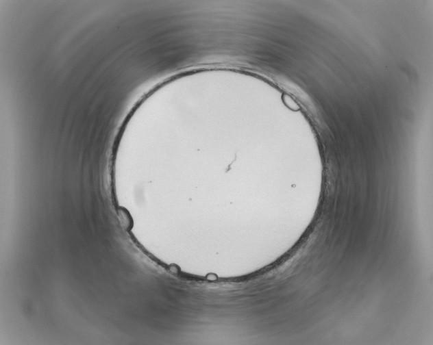 X0000111241288200908131136
