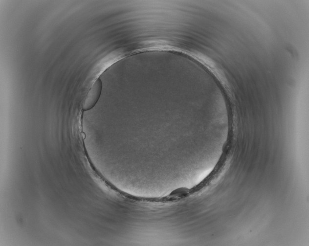 X0000111241289200908131136