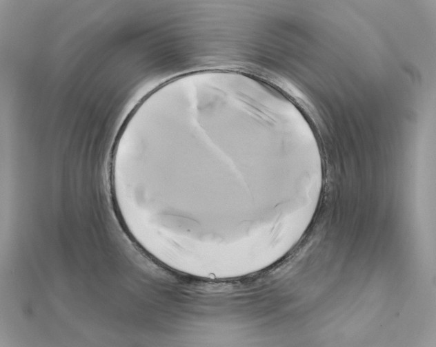 X0000111241291200908131135