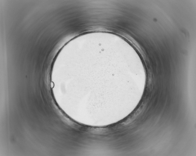 X0000111241293200908131135