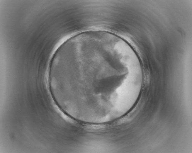 X0000111241294200908131135