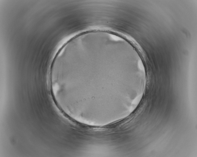 X0000111241295200908131135